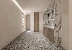 China Square Central (D1), Shop House #504167221